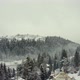 Drone View of Coniferous Forests on the Hills in Snow - VideoHive Item for Sale