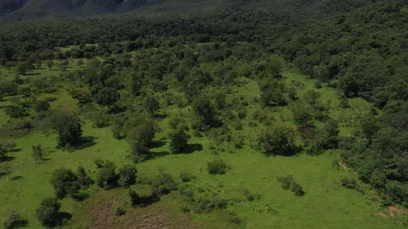An aerial view of the lush wilderness in the Brazilian savannah in its natural condition alt
