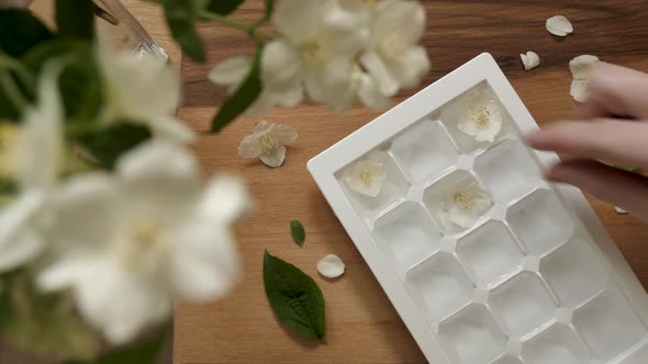 Ice Freezing With Jasmine alt