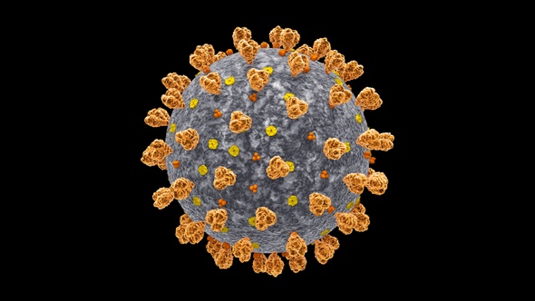 Coronavirus Covid 19 Cell alt