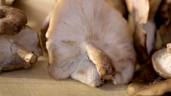 Slow slider or dolly left to right of very tight shot of fresh shiitake mushrooms on a wood board. alt