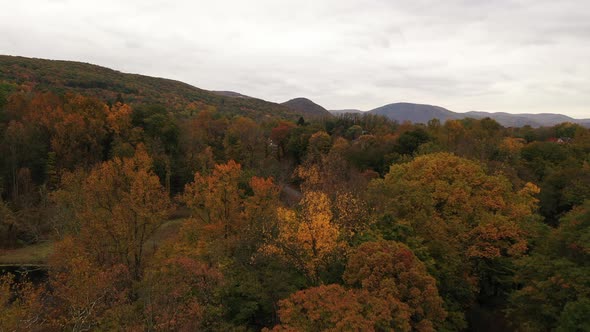 An aerial shot of the colorful fall foliage on a cloudy day in upstate NY. The camera dolly in over alt
