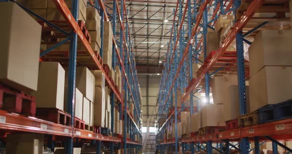 Empty warehouse with multiple boxes on shelfs with ladder on floor alt