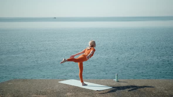 Yoga Asana Balance on One Leg Tuladandasana Virabhadrasana