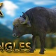 Buffalo eating from 2 different angles - VideoHive Item for Sale