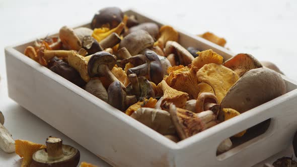 Variety of Fresh and Raw Forest Mushrooms Packed in Wooden Box. Top View alt