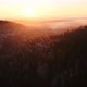 Epic foggy autumn morning forest in the mountains at sunrise. Aerial drone shot. - VideoHive Item for Sale