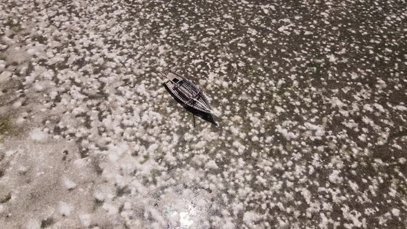 Zanzibar Tanzania  Low Tide in the Ocean Near the Shore alt