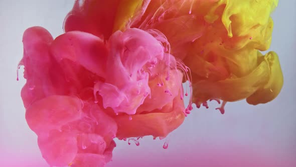 Colorful Nacreous Paint in Water Against White Background. alt