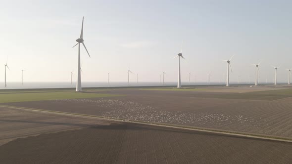 A big flock of birds flying over farm fields with wind turbines in the background, agriculture in Ho alt