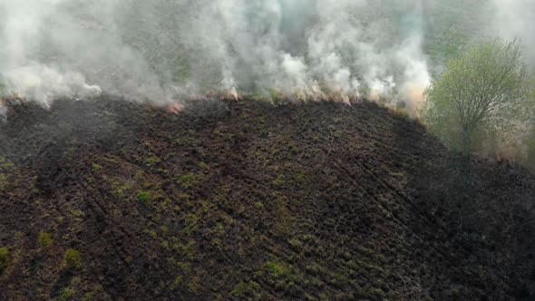 Wildfire During the Northern Spring alt