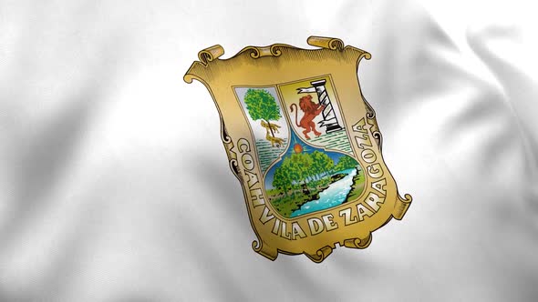 Coahuila Flag (Mexico) alt