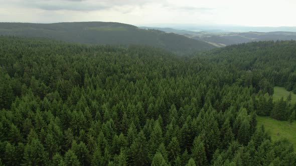 Landscape over the forest with mountains, 4k drone.