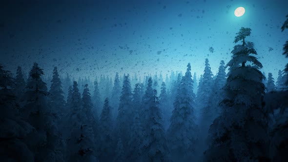 Snow storm in a forest looped 4K