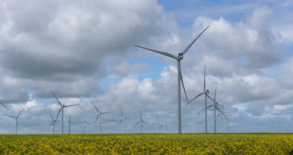Field of rapeseed (Brassica napus)and wind turbines in the Region Beauce, northern France alt
