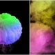 Multicolor Smoke Explosion 4K - VideoHive Item for Sale