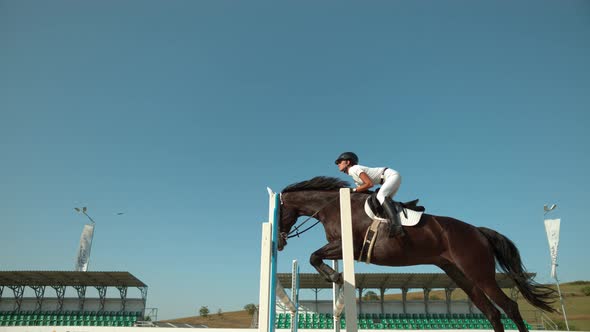 Horse leaping over obstacle, Ultra Slow Motion alt