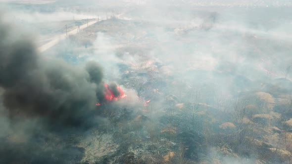 A Strip of Dry Grass Sets Fire to Trees in Dry Forest Forest Fire  Aerial Drone Top View alt