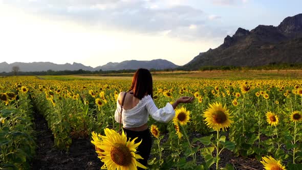 slow-motion of cheerful woman walking and enjoying with sunflower field at Kao Jeen Lae in Lopburi