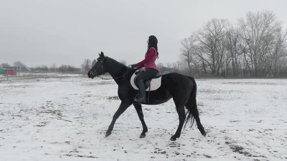 Young Brunette Woman Rides a Beautiful Black Horse on a Field or Snowcovered Farm in Winter alt