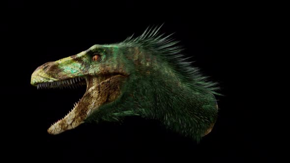 Dinosaur Raptor Head Animation Loop With Alpha
