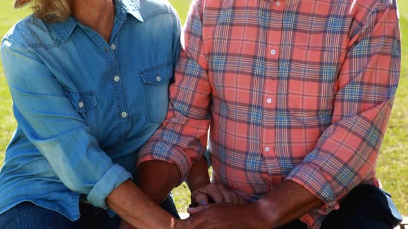 Senior couple talking to each other while holding hands alt