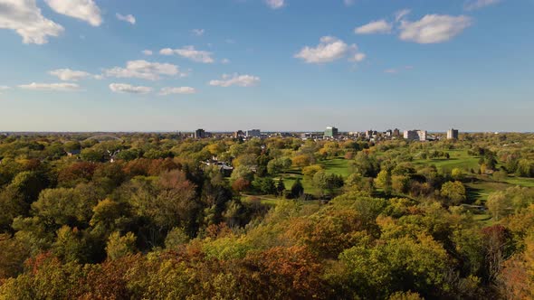 Beautiful aerial shot of vast forested landscape in fall colors. alt