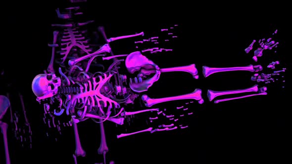 Purple broken skeletons