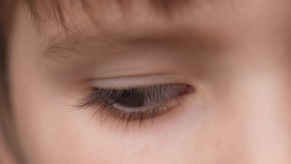 Eye of Child. Extreme Close Up Eyes of Cute Caucasian Little Boy Confidently Looking Into the Camera
