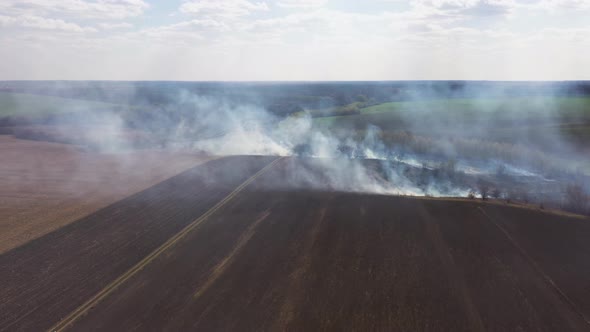 Fast-moving Fire on Dry Grass Field