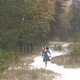 Girl in Forest and First Snow - VideoHive Item for Sale