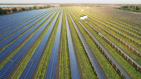 Aerial View Solar Power Station on Green Field at Sunset Solar Panels in Row alt