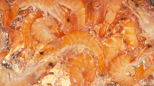 Super Slow Motion Shot of Shrimps Falling and Splashing Into Water on Orange Background at 1000 Fps alt