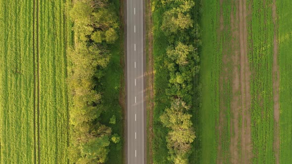 Aerial Drone Footage Tracking a Car