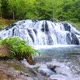 Beautiful waterfal in the forest - VideoHive Item for Sale