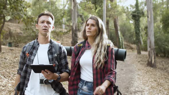Couple of Young Backpackers Walking in Forest alt
