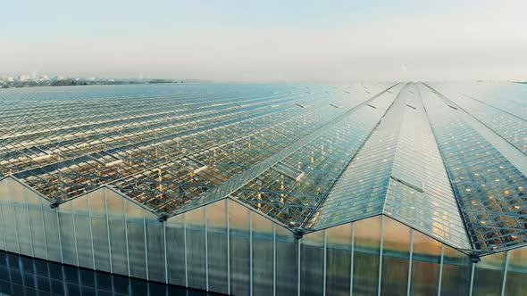 Outdoors View of a Massive Greenhouse Complex alt