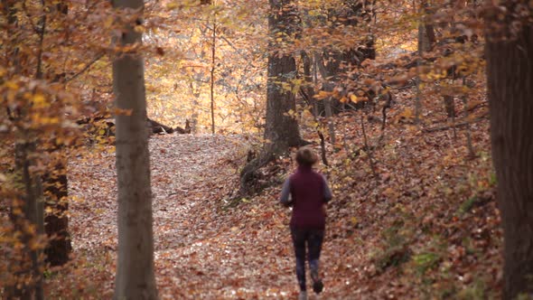Female runner on wooded trail - Rock Creek Park - Washington, DC - Autumn alt