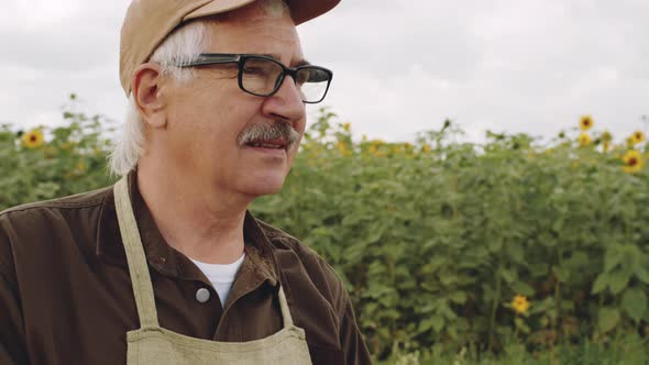 Senior Agronomist In Sunflower Field alt