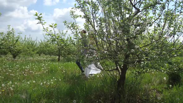 Cheerful Couple Running Among Flowering Trees alt