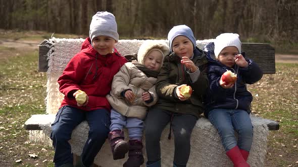 Two Brothers and Two Sisters Sit on a Bench in the Park and Eat Apples and Cookies,slow-mo