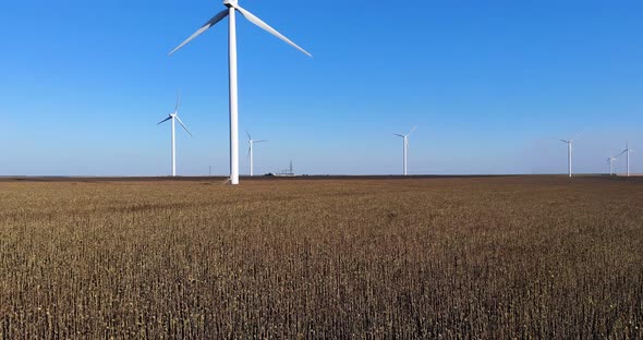Wind Turbines Stand Tall Against Blue Sky On A Sunny Day alt