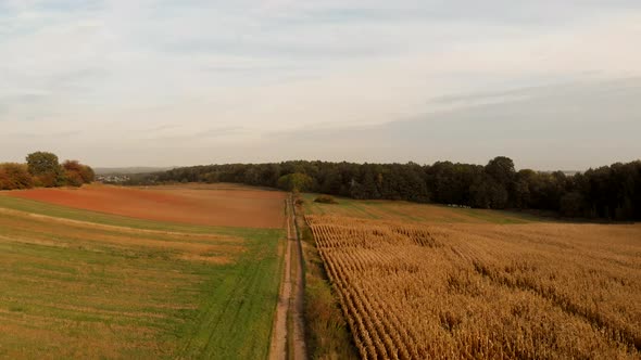 Flight over fields in sunset light. alt