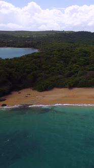 Vertical Drone Shot of Waves Crashing Along Beach Camera Moving Ocean to Forest