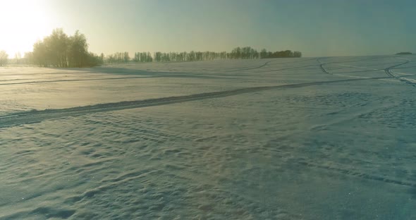 Aerial Drone View of Cold Winter Landscape with Arctic Field Trees Covered with Frost Snow and alt