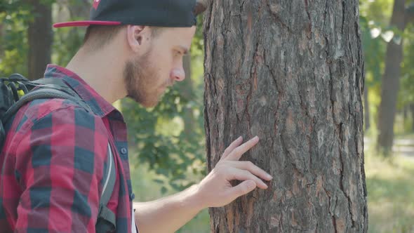 Absorbed Bearded Young Man Examining Tree Bark in Forest. Side View Portrait of Engrossed Caucasian alt