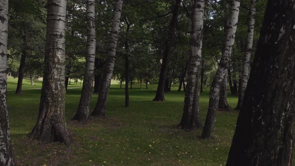 Aerial View in a Beautiful Park in St alt