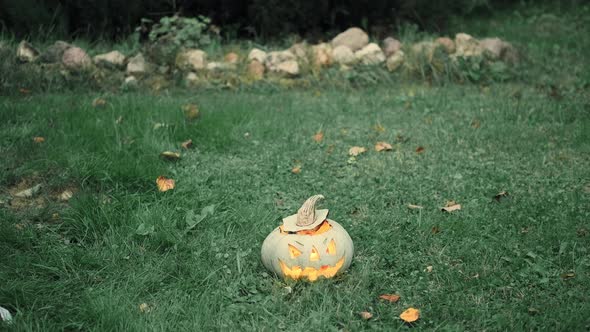 Little Girl in Jacket Plays with Glowing Pumpkin for Halloween on Grass in Park alt