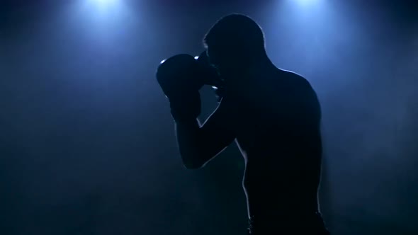 Young Male Athlete Boxing in the Studio Visible in Silhouette alt