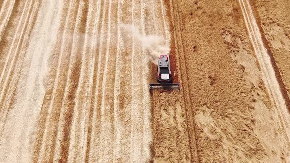Aerial View, Combine Harvesters Working in a Wheat Field. Grain Crops Harvesting alt